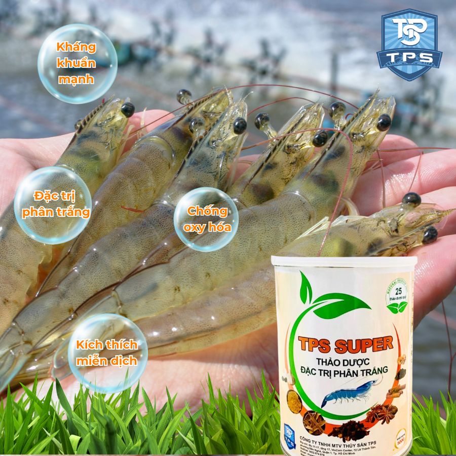 tps-super-dac-tri-phan-trang-03 Công dụng nổi bật TPS Super