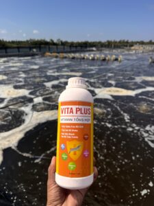 Vita Plus bổ sung vitamin