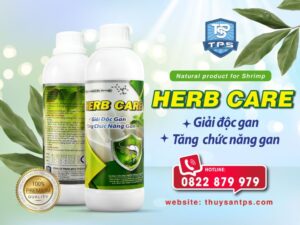 HERB-CARE giúp giải độc gan tôm thẻ